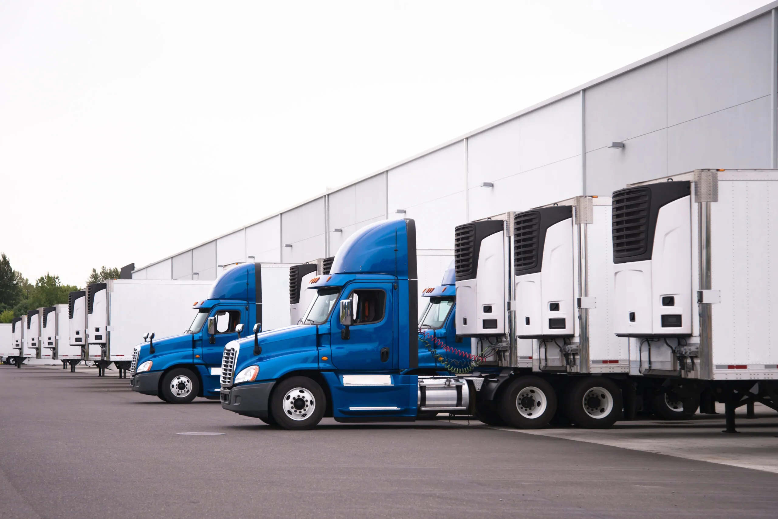 Blue semi trucks and semi trailers stand in row